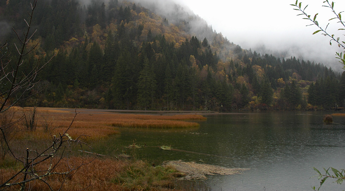山间小溪