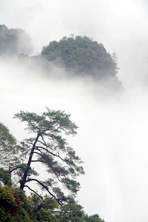 广东丹霞山之云海