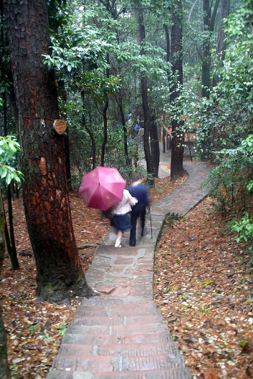 广东丹霞山之云海