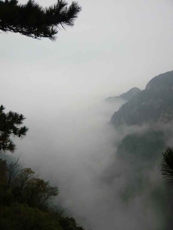 庐山小景