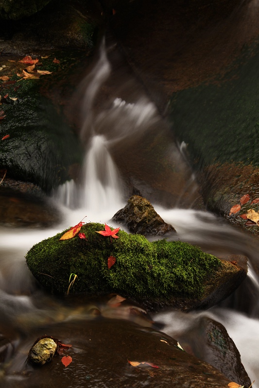 光雾山小景