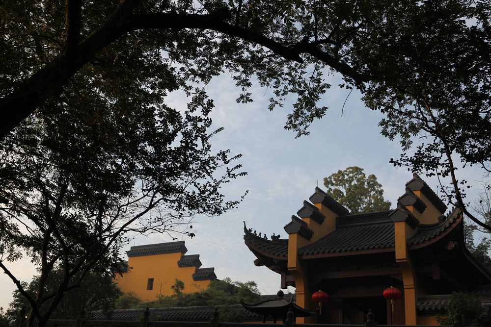 行摄杭州