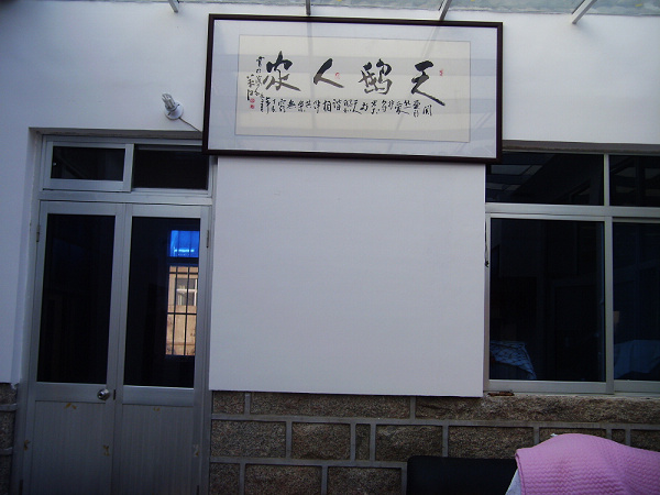 来俺山东拍天鹅