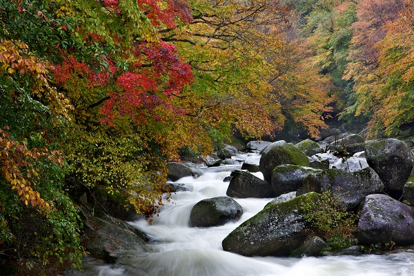 去年的光雾山黑熊沟-水大呀！！！！！！