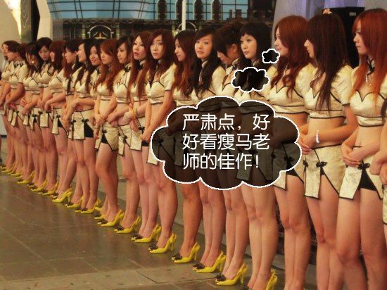 每日一片  天天更新