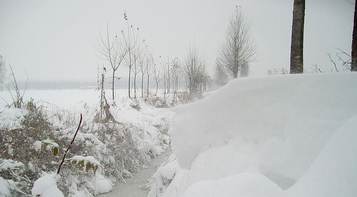 雪后的几张PP