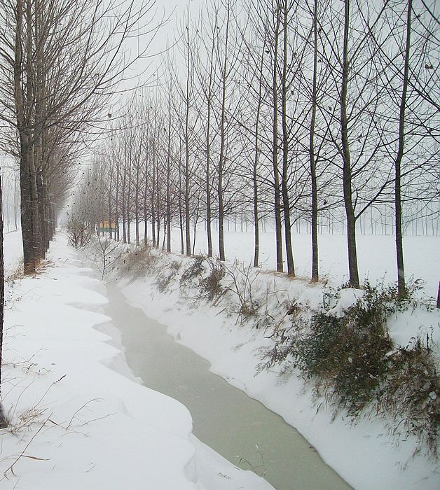 雪后的几张PP