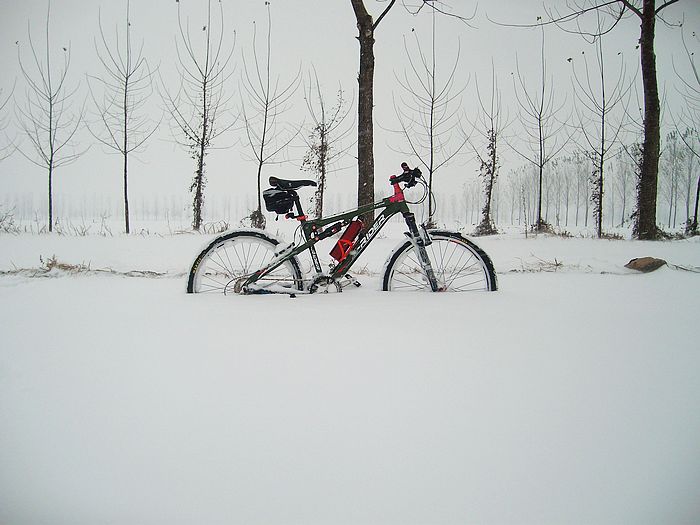 雪后的几张PP