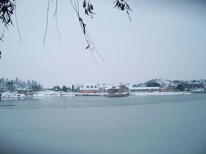 雪后的几张PP