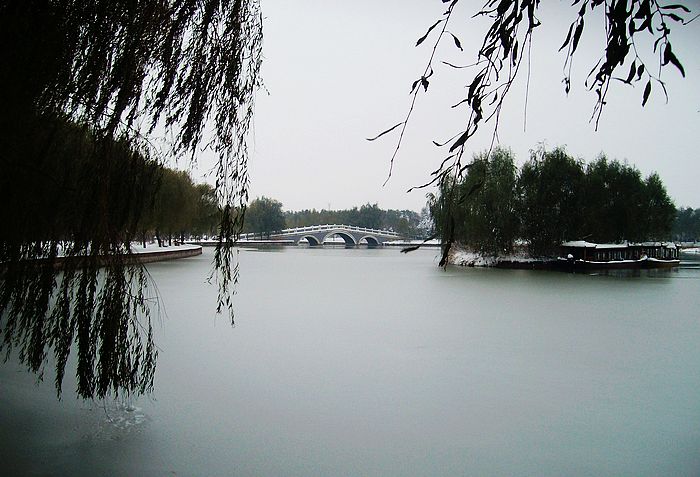 雪后的几张PP