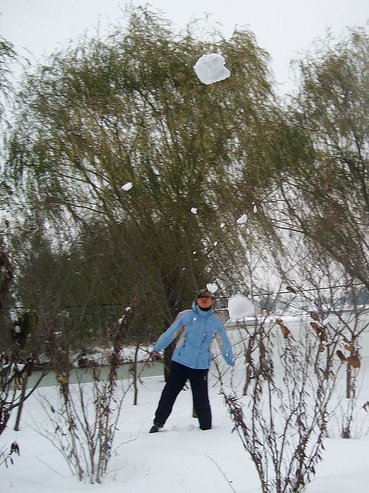 雪后的几张PP