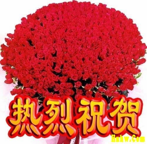 每日一片  天天更新