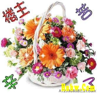 每日一片  天天更新