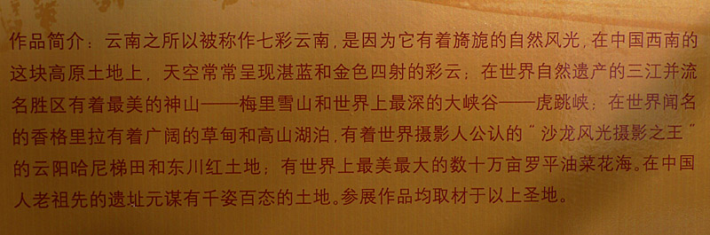 石油人摄影俱乐部1220看片会在一壶知至茶楼举行