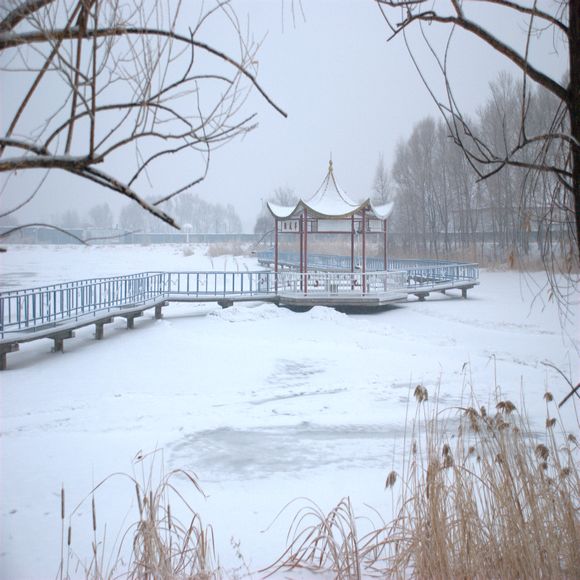 雪