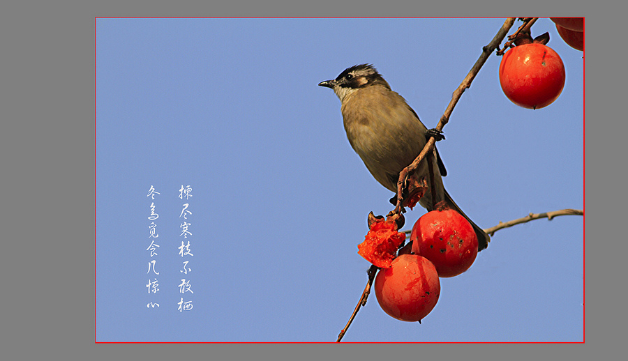 鸟鸣如意图