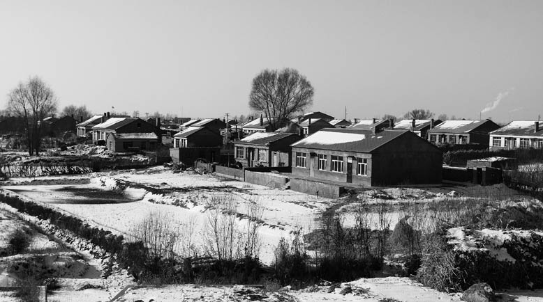 雪中景