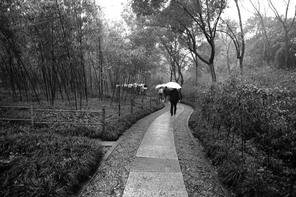 烟雨江南