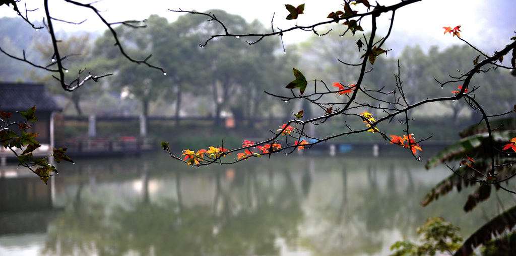 江南小景