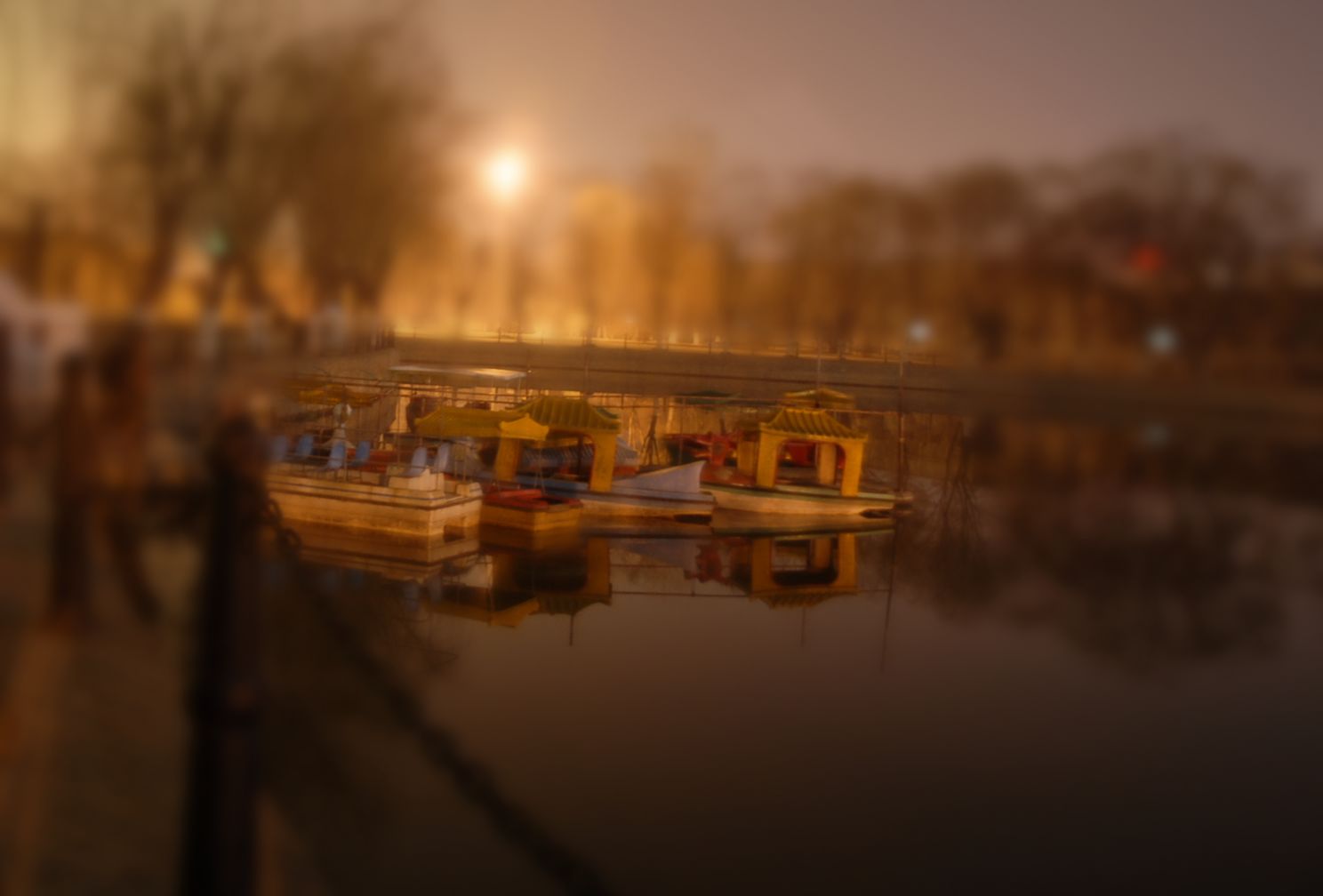 公园夜景