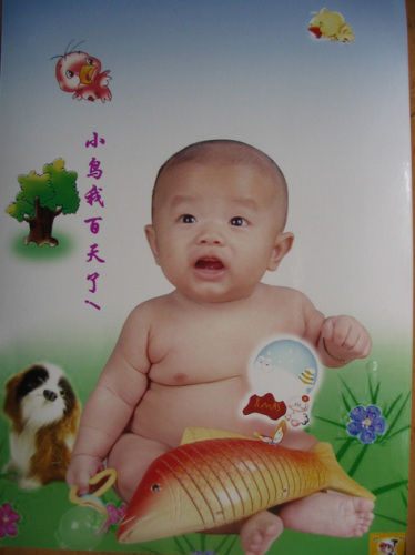 贫夫的宝宝