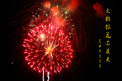 [原创]火树银花不夜天