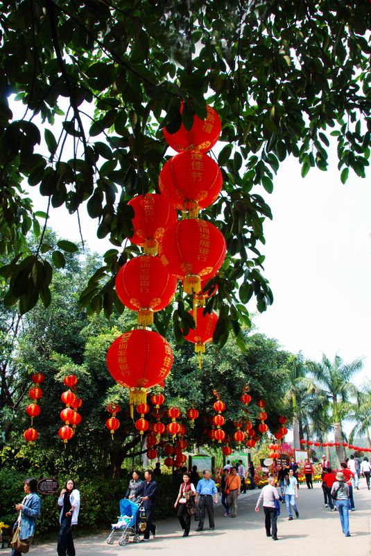 元宵节深圳莲花山公图