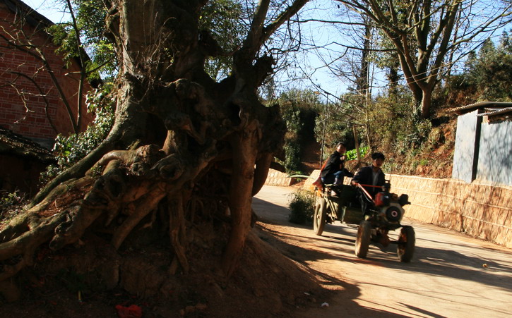 南方小山村