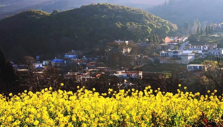 南方小山村