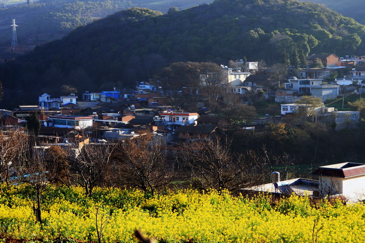 南方小山村