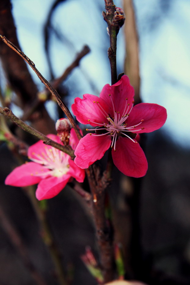 南方小山村