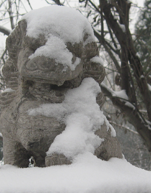 雪枝