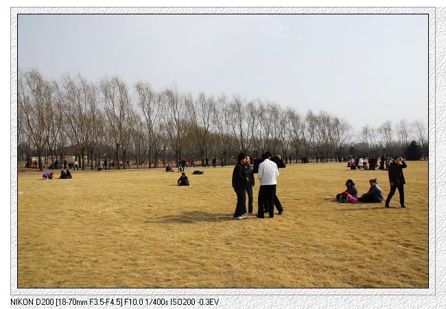 2009.2.14情人节濮上园万人相亲大会
