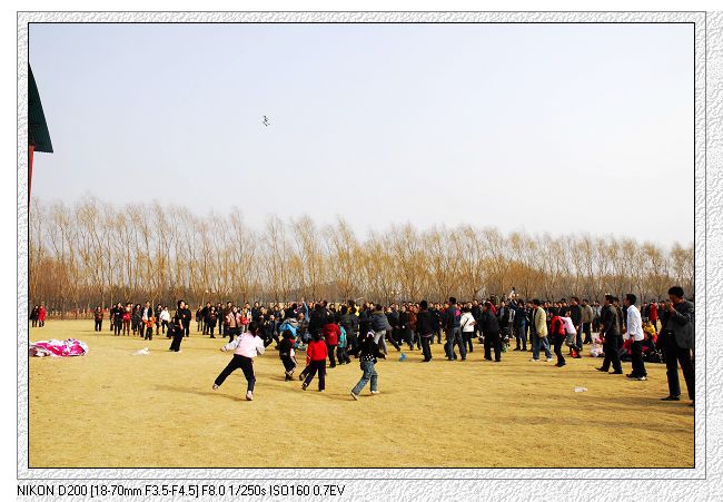 2009.2.14情人节濮上园万人相亲大会