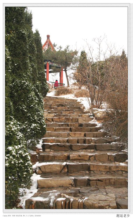 雪后即景