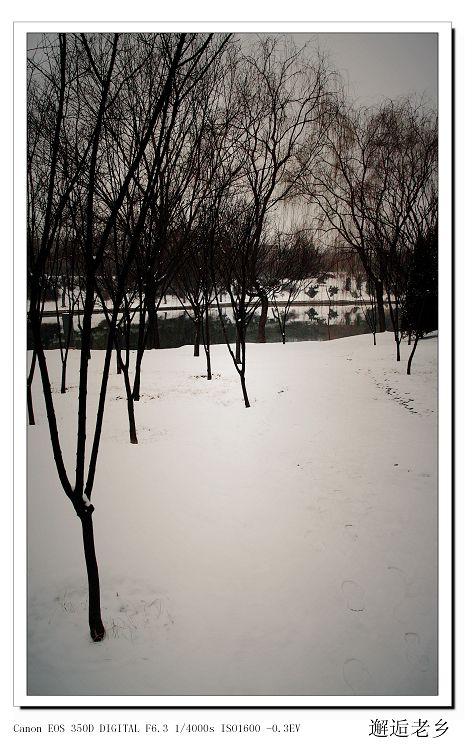 雪后即景
