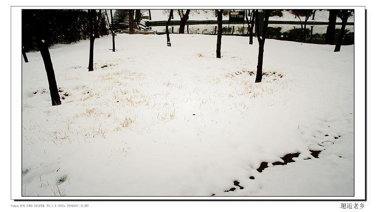 雪后即景