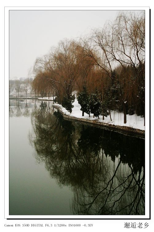 雪后即景