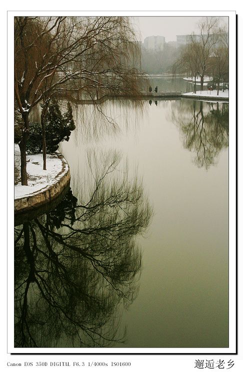 雪后即景