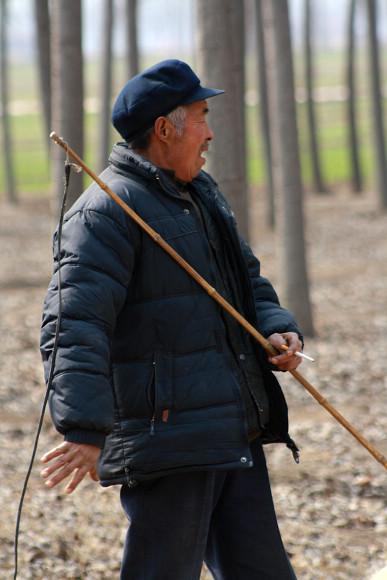 放牧