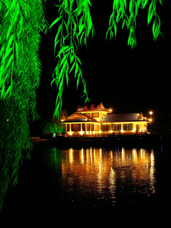 油城夜景