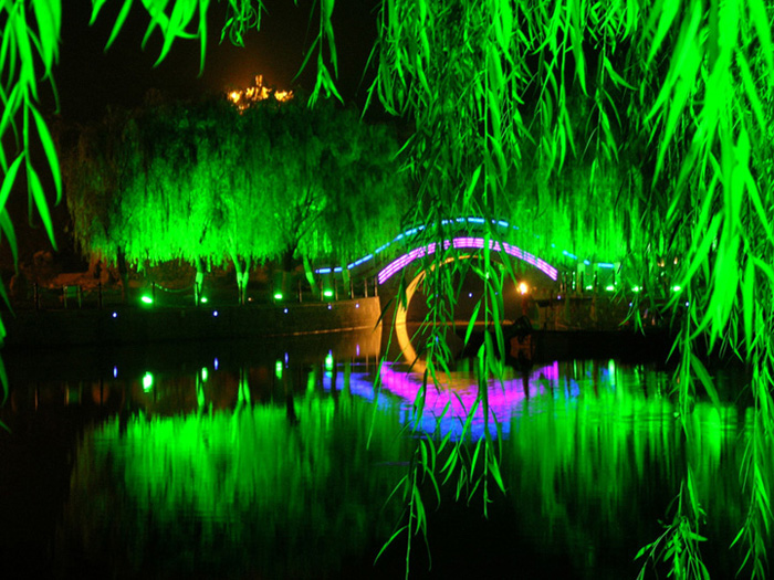 油城夜景