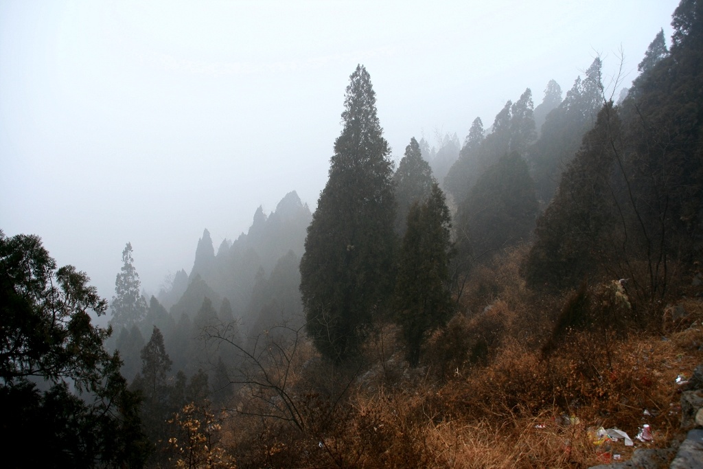 雪雾龙风山