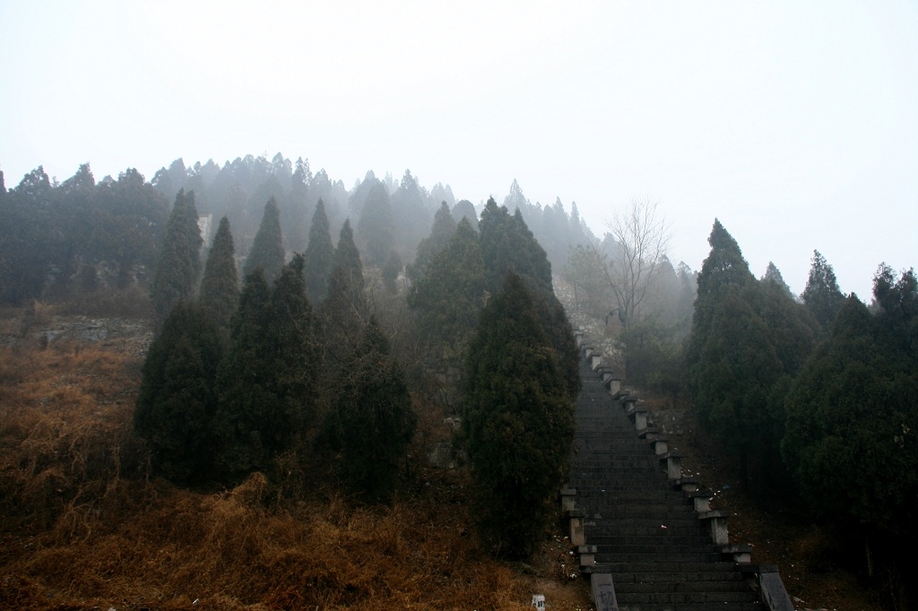 雪雾龙风山
