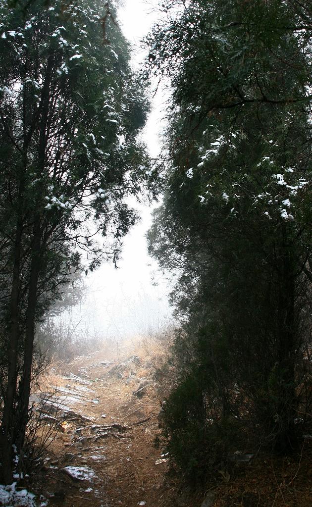 雪雾龙风山
