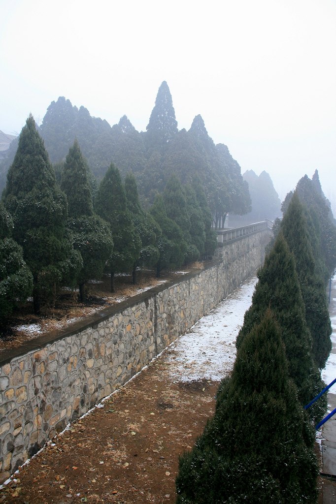 雪雾龙风山