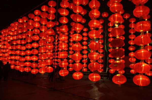 [原创]牛年花灯样样红