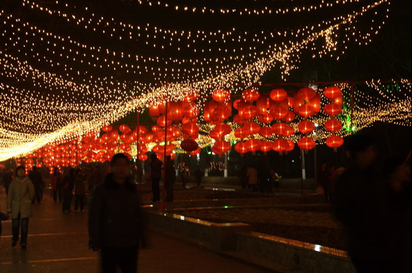 [原创]牛年花灯样样红