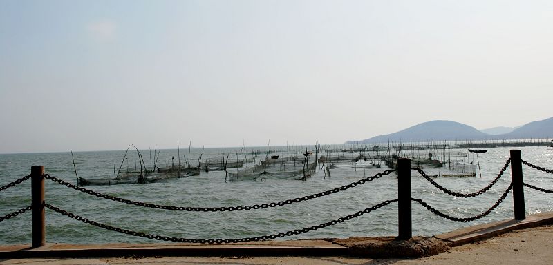 初春东平湖