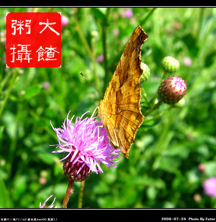 [原创]一张以前在家乡拍的